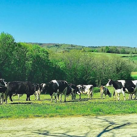 « Le Vieux Hangar » Gite A La Ferme Le Buisson-de-Cadouin Zewnętrze zdjęcie