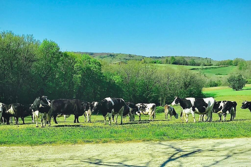 « Le Vieux Hangar » Gite A La Ferme Le Buisson-de-Cadouin Zewnętrze zdjęcie